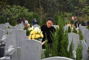 祭奠亲人的鲜花