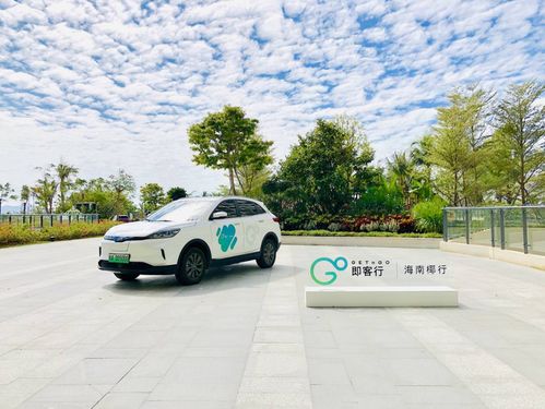海口登记多少辆汽车