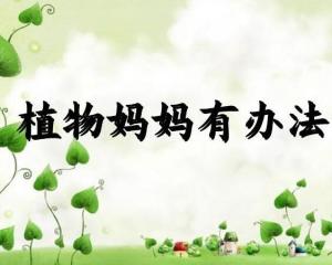 《植物妈妈有办法》
