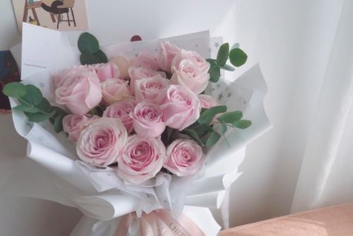 12朵粉色玫瑰花代表什么意思