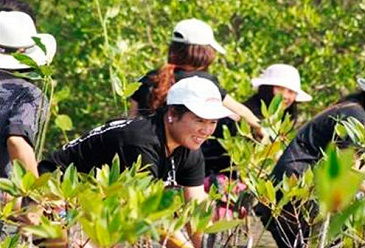 1000种树名大全