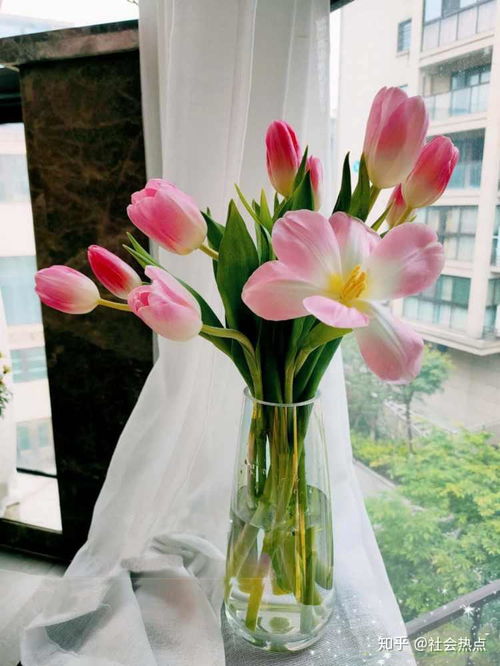 白色郁金香的花语