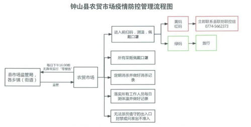 房产免税怎么报税流程