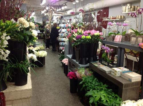 花店利润一年大概是多少