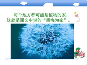 植物是怎么传播种子的二年级上册