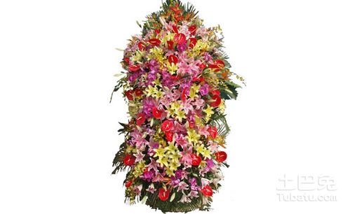 花篮价格一般多少