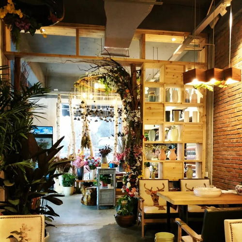 花店卖的花都有哪些