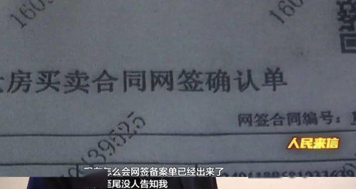 房产收到条怎么写