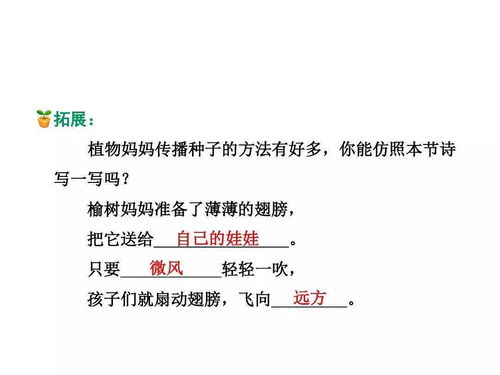 种子的传播方法 二年级