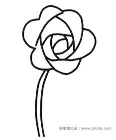 玫瑰花图片大全简单漂亮
