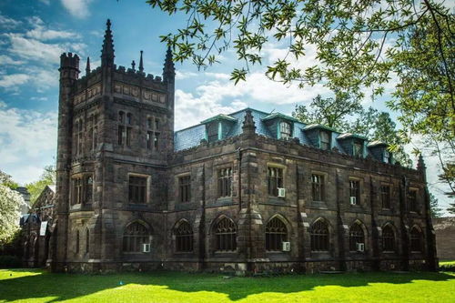 常春藤大学