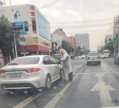舞钢到叶县汽车多少钱啊