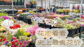 开花店的鲜花哪里批发