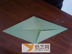 教师节送什么花好折
