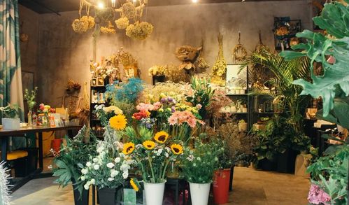 花店名字简约