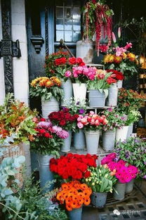 附近花店鲜花店
