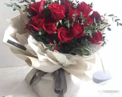 玫瑰花束图片