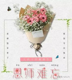 教师节宋老师什么花