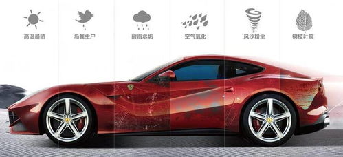 高埗汽车车衣膜多少钱