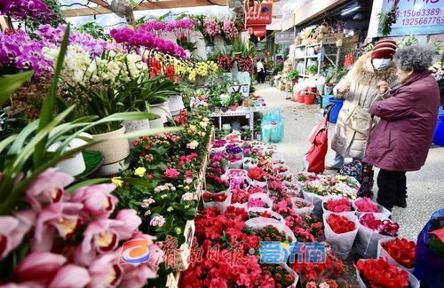 济南鲜花市场