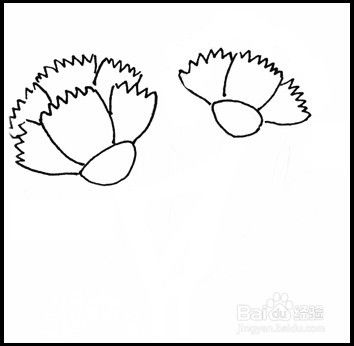康乃馨简笔画100种