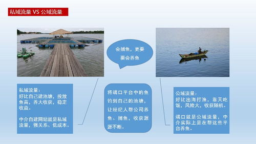 房产中介怎么微聊