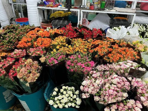 王四营鲜花批发市场