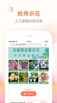 买花的app