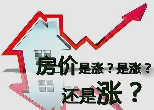 房产购房图文怎么写好看