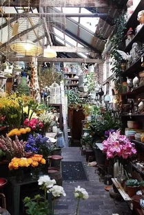 花店最近的地方有哪些