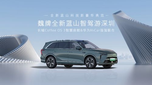 蓝山汽车落地多少