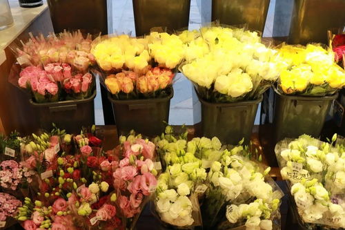 见鬼鲜花店晋江文学城