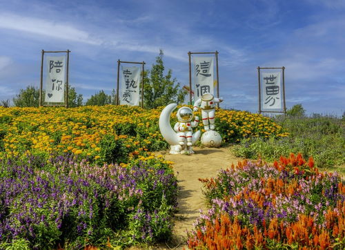北京鲜花港图片