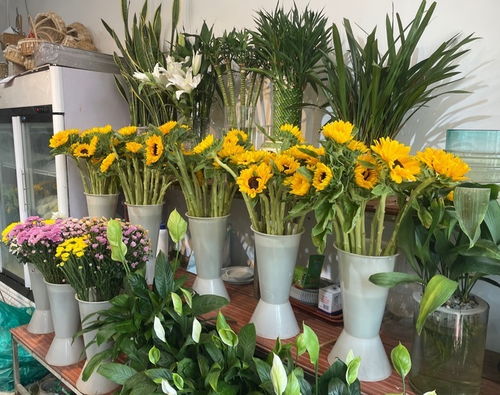 附近哪里有鲜花店铺