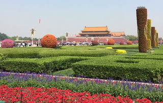 北京鲜花网站