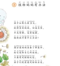植物妈妈有办法二年级