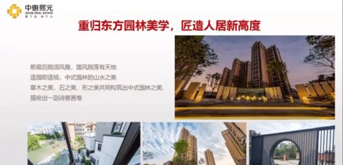 房产达人水泥怎么买