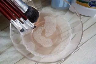 房产达人刷子怎么用