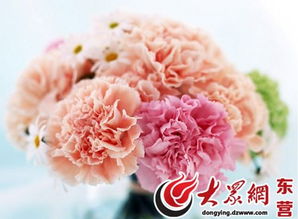东营鲜花预定