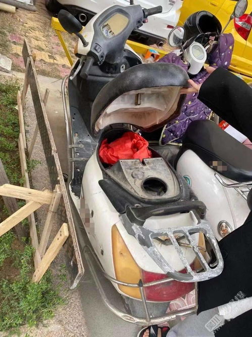 湛江汽车有多少辆车