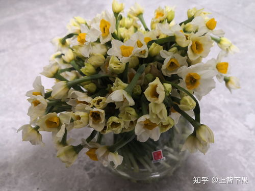 买花平台哪个好
