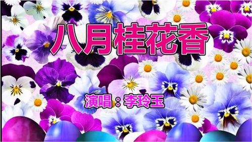 八月桂花香主题曲歌词
