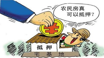 农村房产怎么出售信息