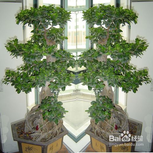 全国鲜花绿植配送平台