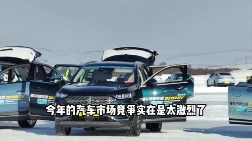 开个汽车驾校需要多少钱