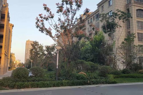 天恒房产测绘怎么样