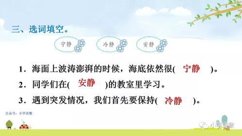 你还知道哪些植物传播种子的方法举例说明