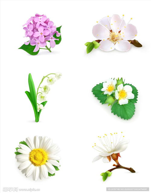 卡通花朵图片大全 卡通花朵图片大全