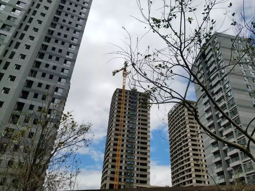 房产的楼间距怎么算