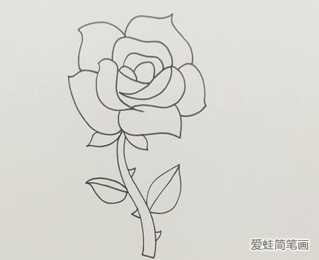 画玫瑰花的简笔画 画玫瑰花的简笔画